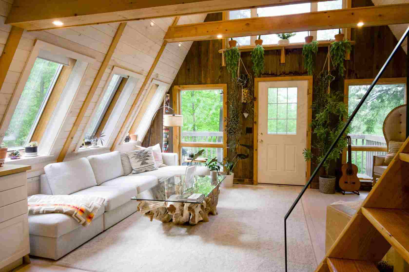 Noises In Loft But No Droppings Uk
